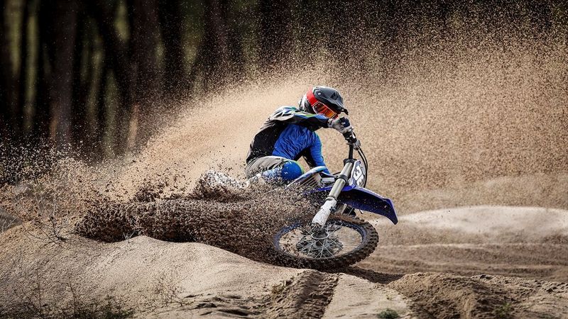 Jaime de Diego video 