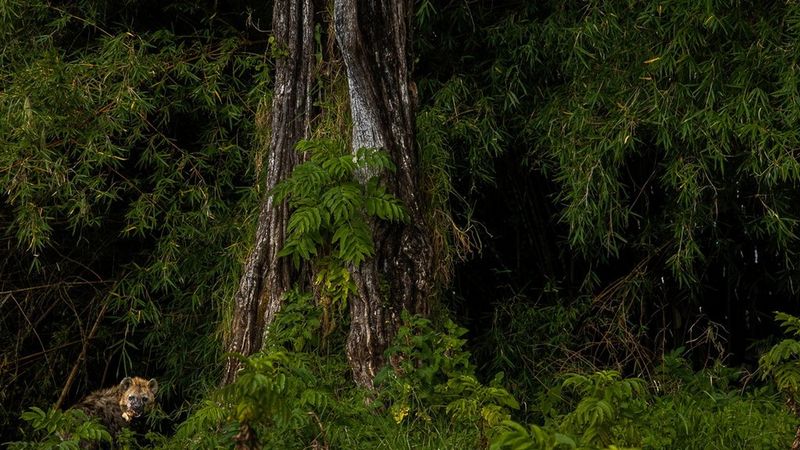 Plus de 435.000tonnes d'émissions de CO2 évitées