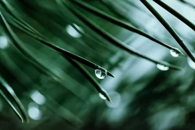 Patronen-Recyclingprogramm