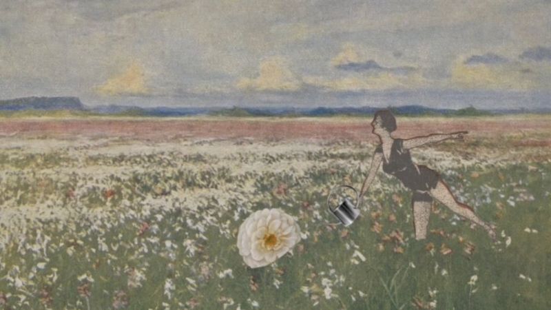 Wyróżnienie: Zuzanna Jarecka  Troska