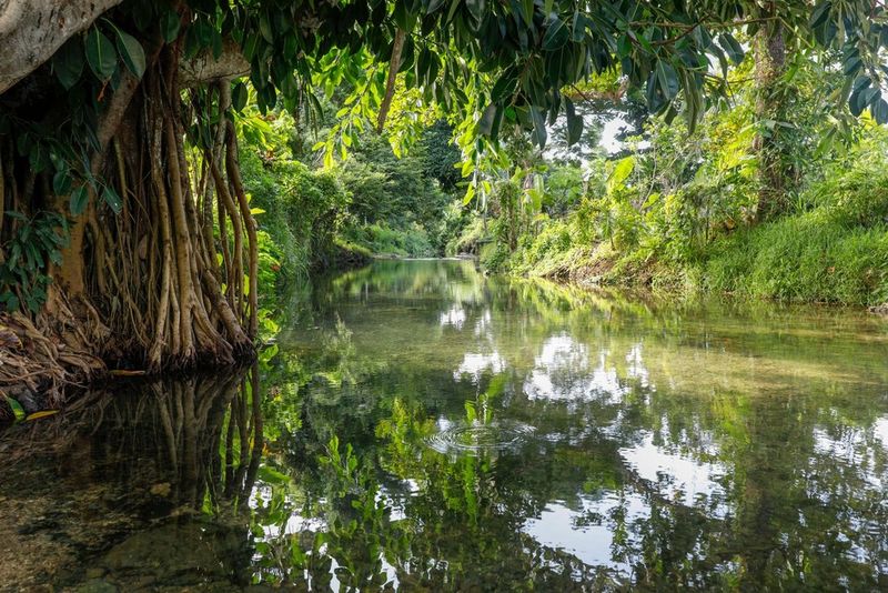 River scene taken with EOS 5D Mark IV