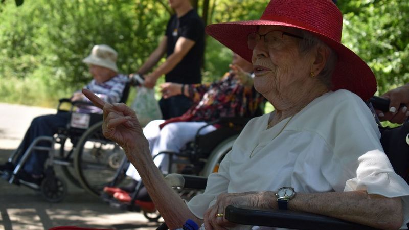 The Association for the Care of the Elderly