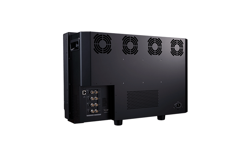 video display dp v2421