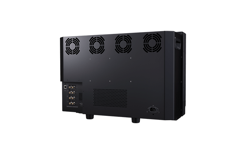 video display dp v2421