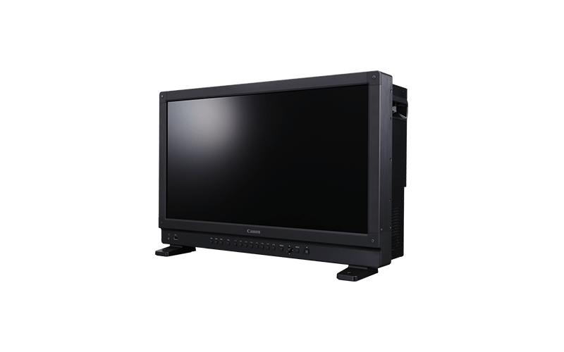 video display dp v2421