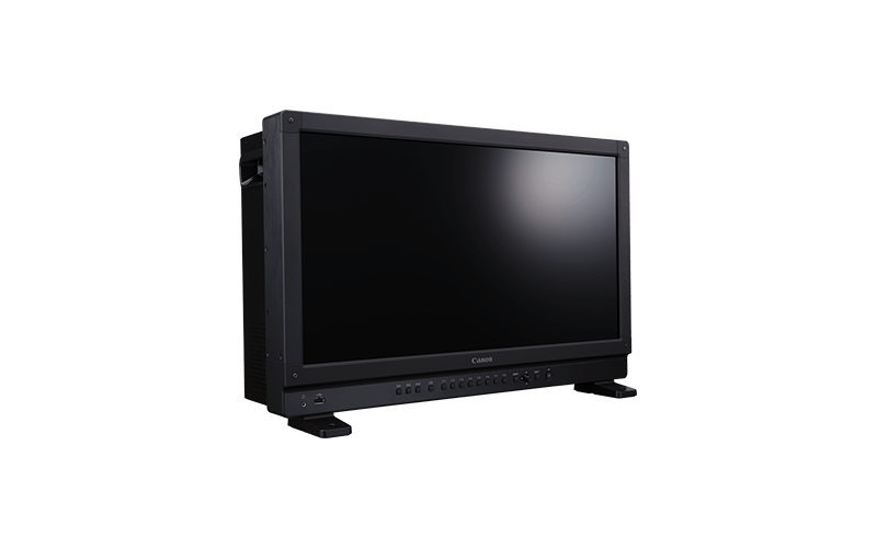 video display dp v2421