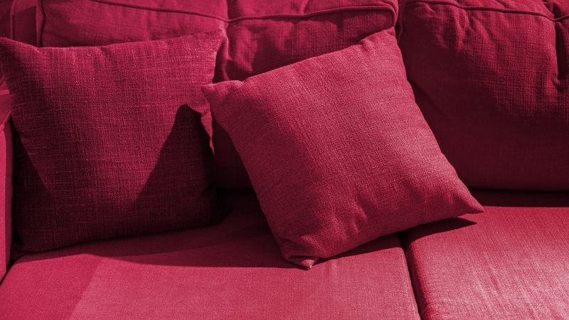 A close up of a deep crimson/magenta sofa with two cushions upon it.