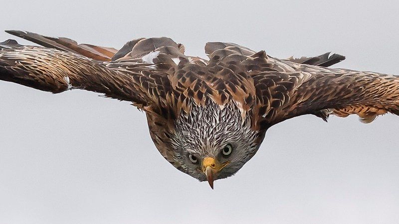 400 mm de longitud focal