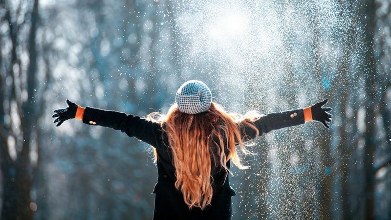 
       Wintercashback op Canon-scanners
     