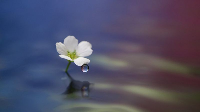 Workshop Macrofotografie met Art&Craft