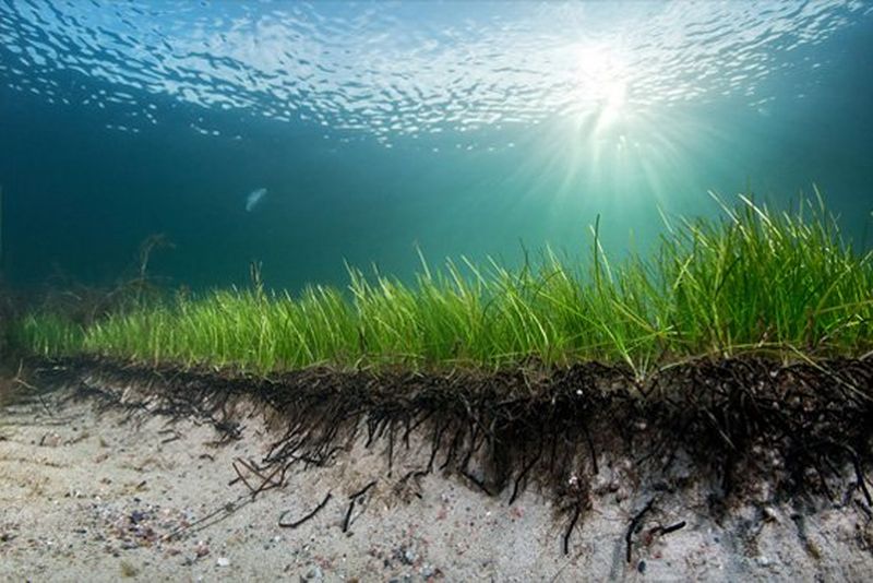 World Unseen – Merten tarinat