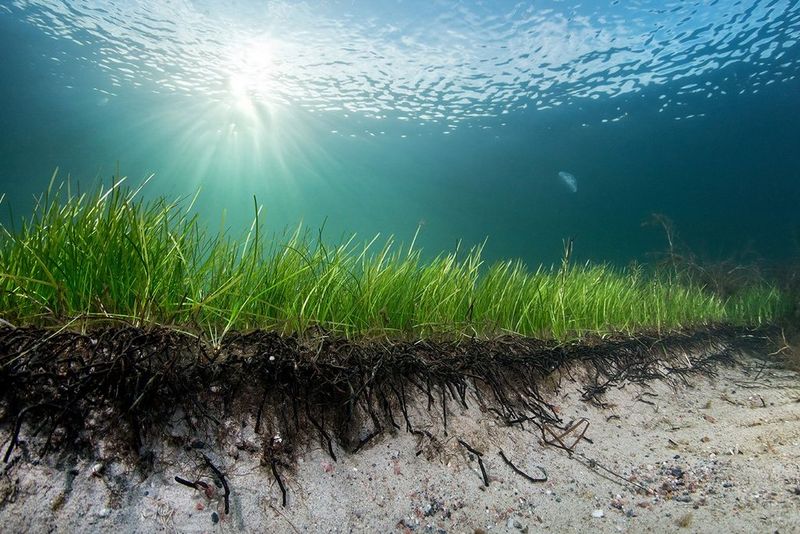 Merten tarinat -valokuvanäyttely Musiikkitalolla 19.-31.11.