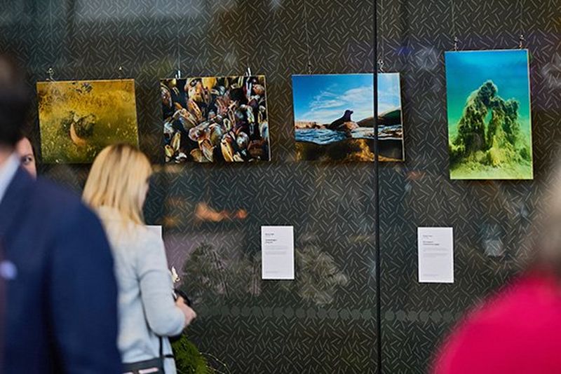 World Unseen -valokuvanäyttely esillä Suomessa syksyllä 2026