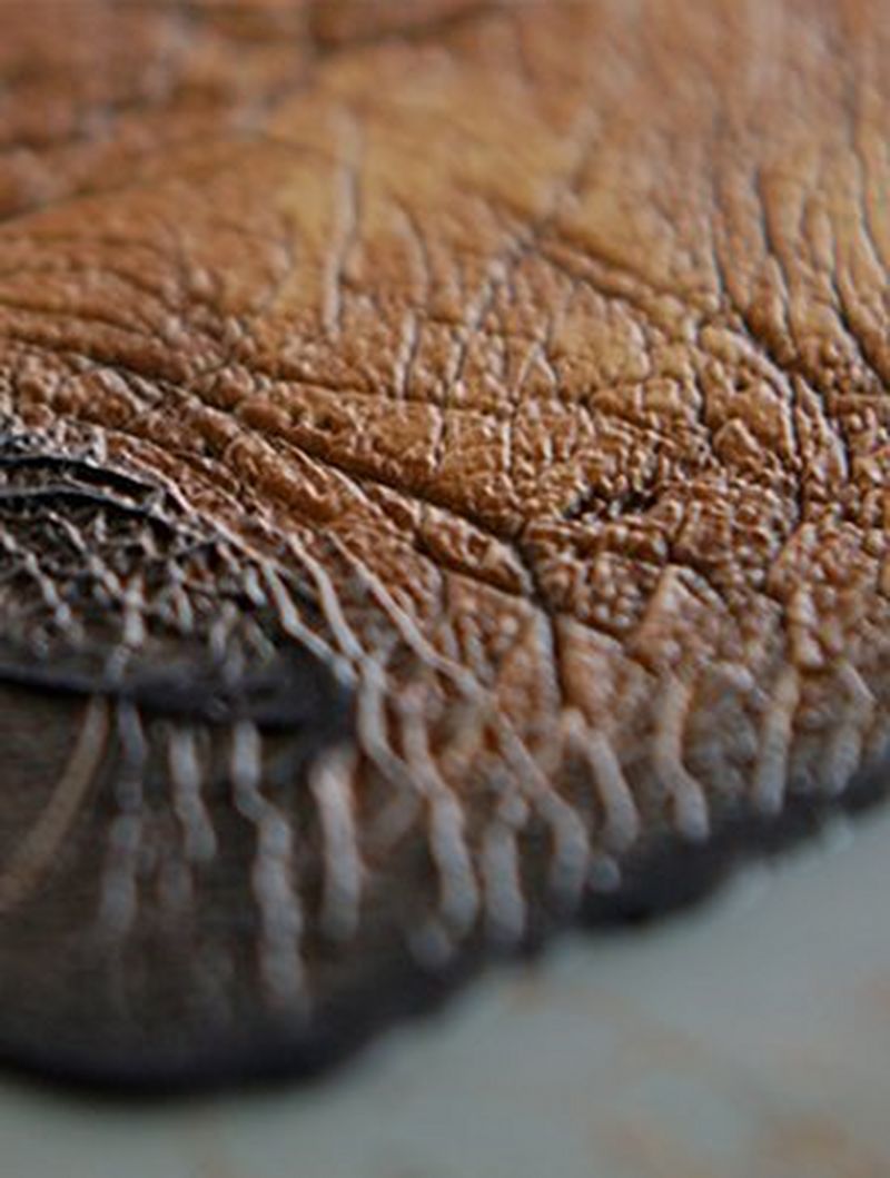 Close up of relief printing of Brent Stirton’s ‘Rhino Wars’ photograph