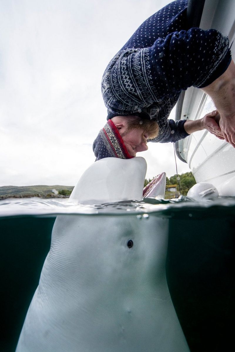 ‘Love’ by Aleksander Nordahl photograph   