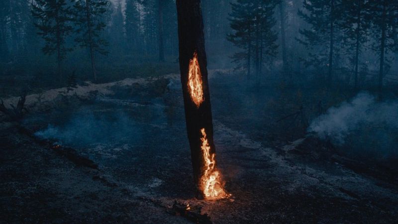 ‘As Frozen Land Burns’ av Nanna Heitmann