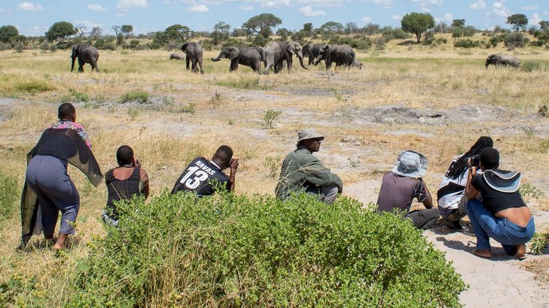 Seven students from the Wild Shots Outreach/Canon Young People Programme in Botswana on walking safari. The crouch or sit on the ground with their backs to the camera, some holding their own cameras to their faces as they photograph a group of eight elephants in the near distance.