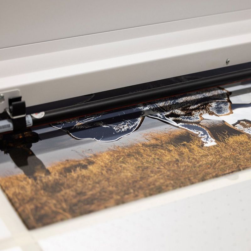 A series of three images shows the progression of the elevated printing process. Two stages of printing on a flatbed printer are shown, followed by a hand feeling the texture of the final printed image. The image being printed features a rhino being protected by two armed men.