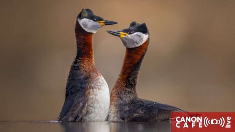 Jaki syn taki ojciec. Fotograficzna pasja na pokolenia.