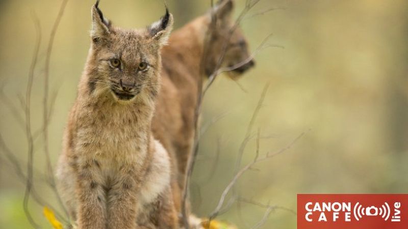 Warsztat fotografa przyrody