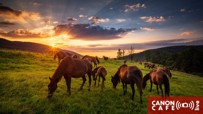 Świat fotografii krajobrazowej