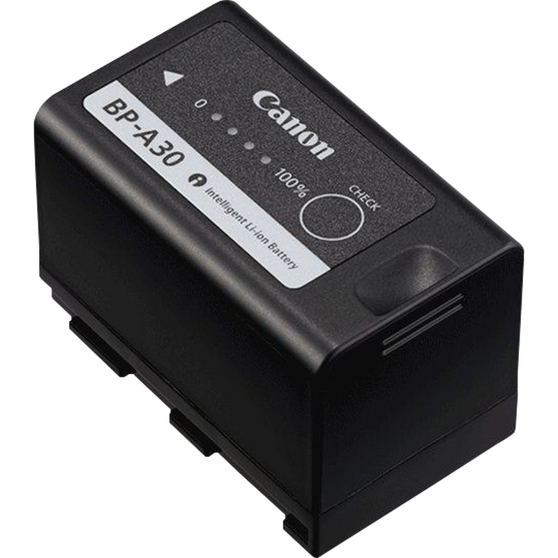 Batteria BP-A30 (inclusa)/BP-A60