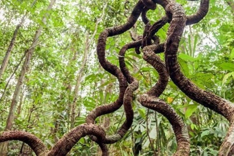 Verklein uw ecologische voetafdruk