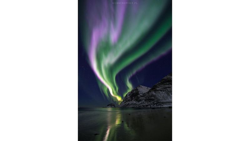 Fot. Katarzyna Gubrynowicz