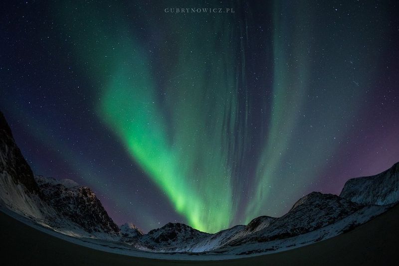 Fot. Katarzyna Gubrynowicz