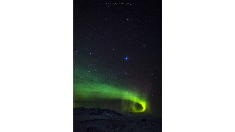 Fot. Katarzyna Gubrynowicz