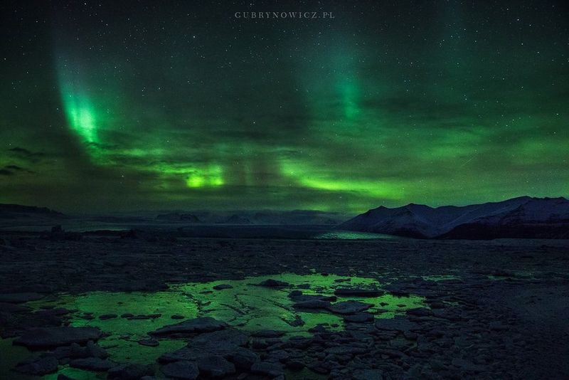 Fot. Katarzyna Gubrynowicz