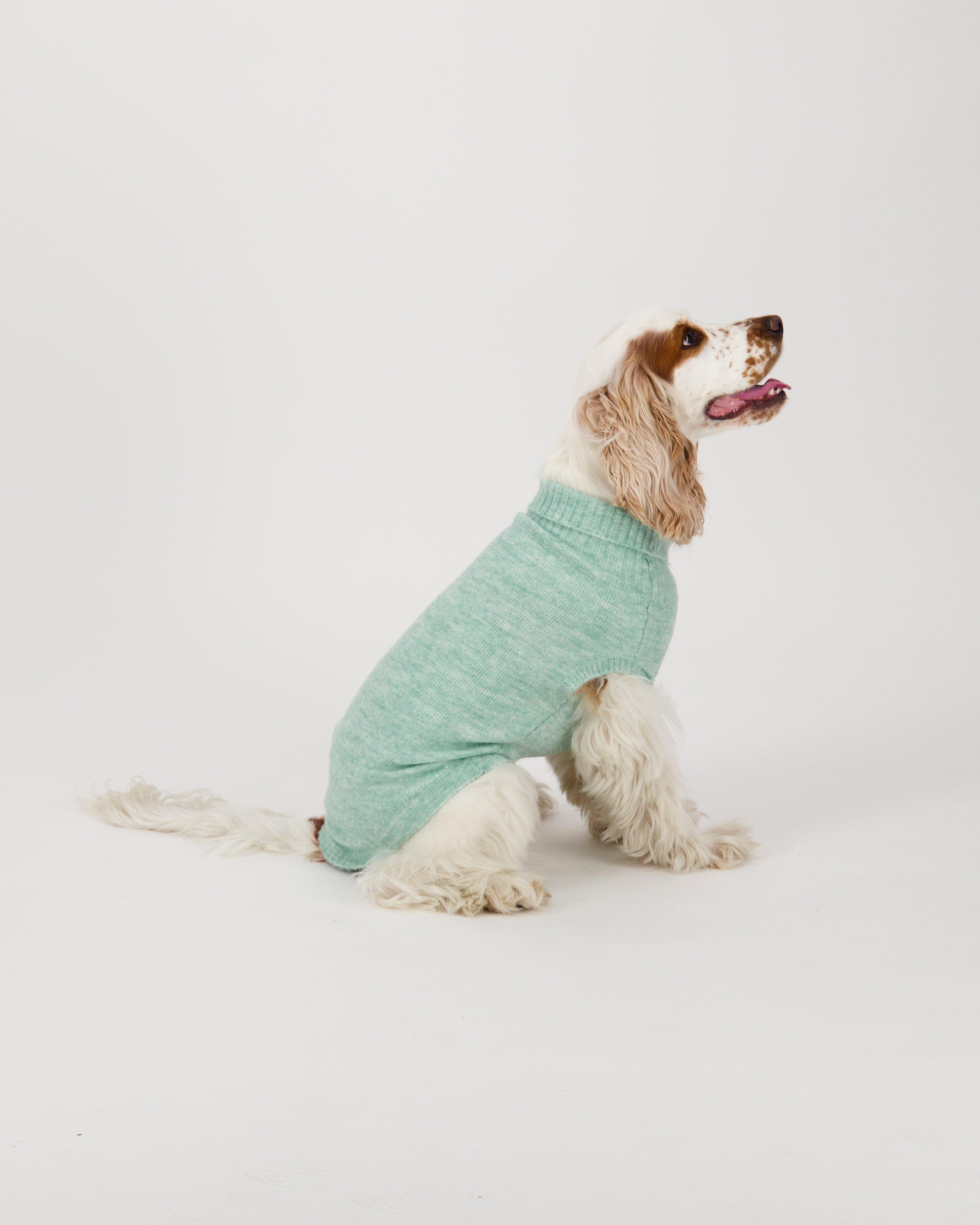 Jordyn Dog Jumper -  lightolive