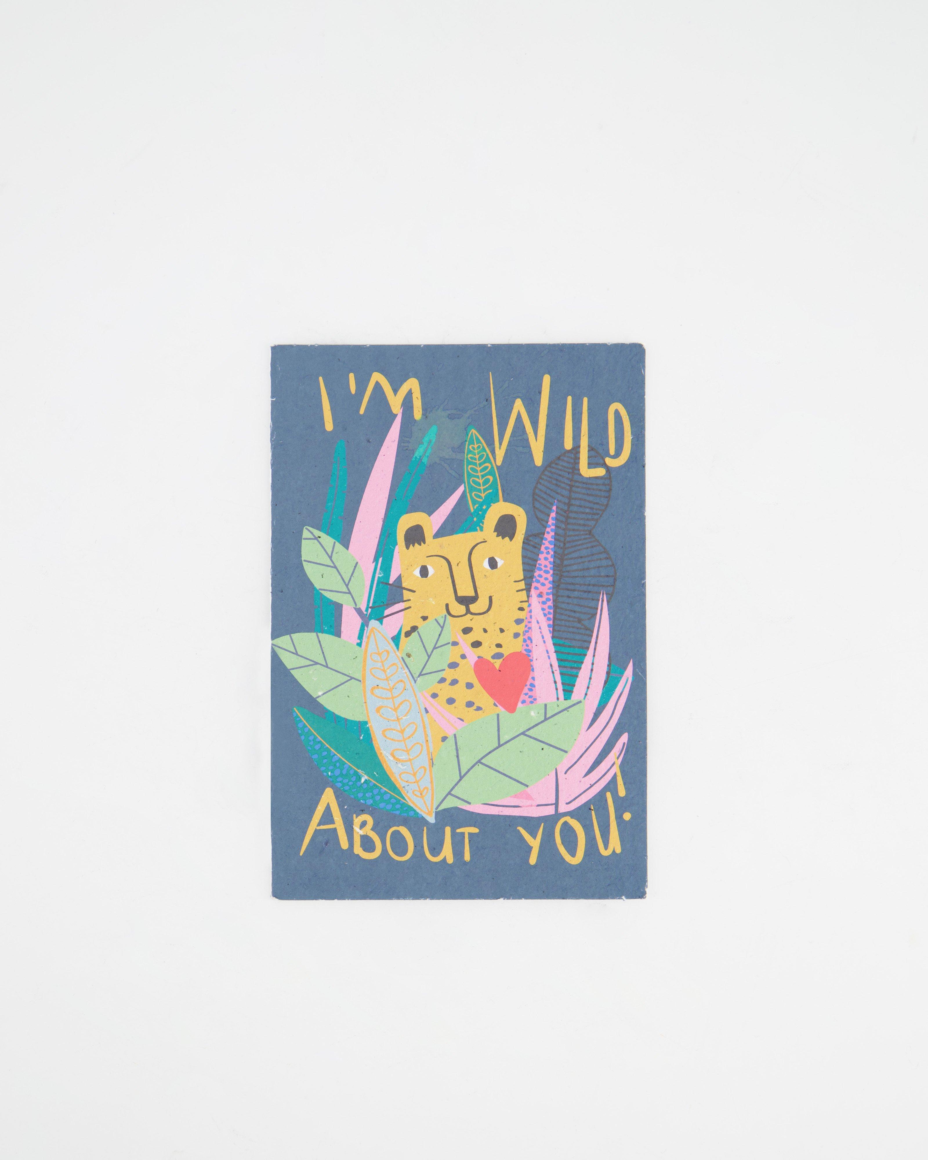 Wild about you Card -  assorted