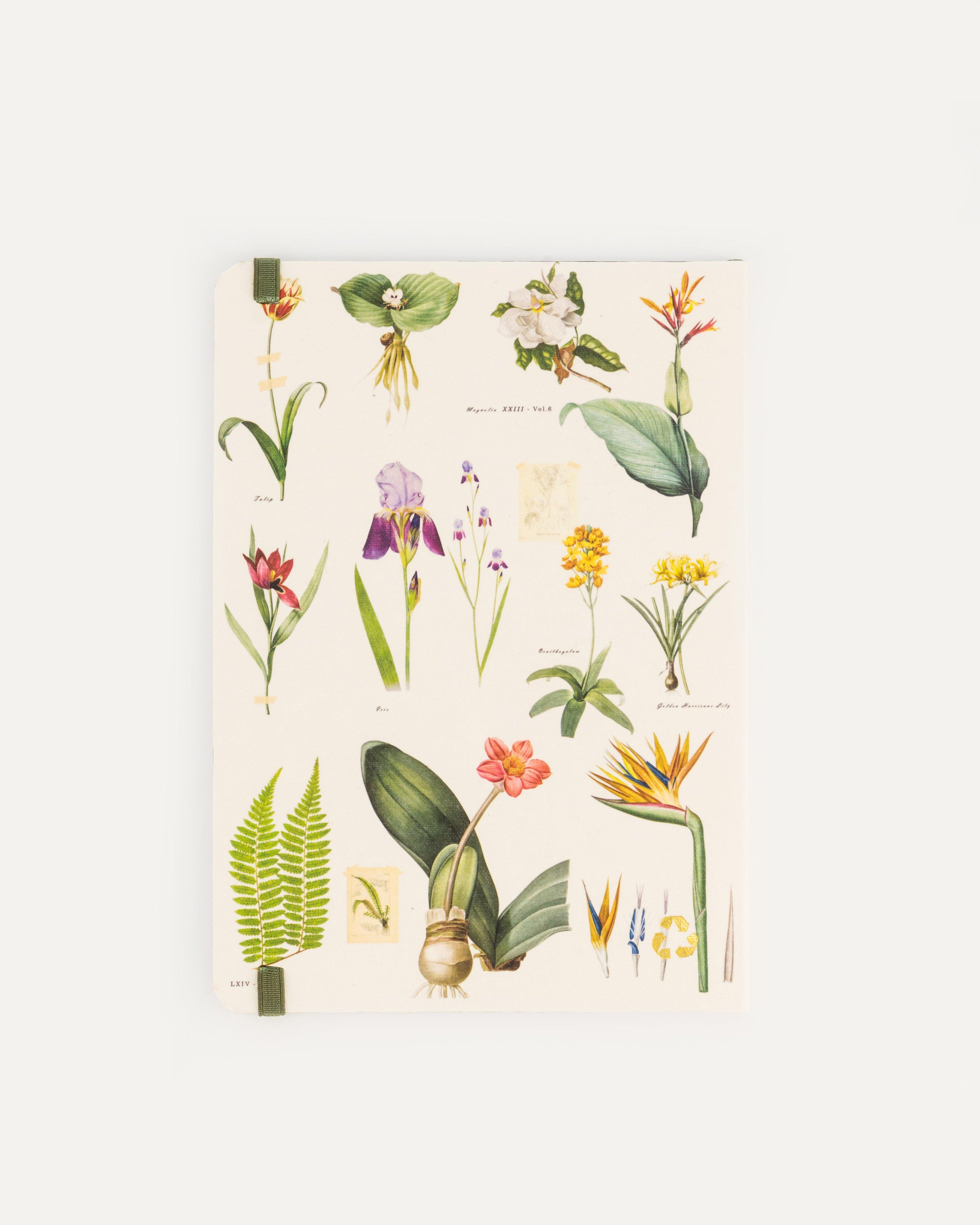 Botany Notebook -  assorted