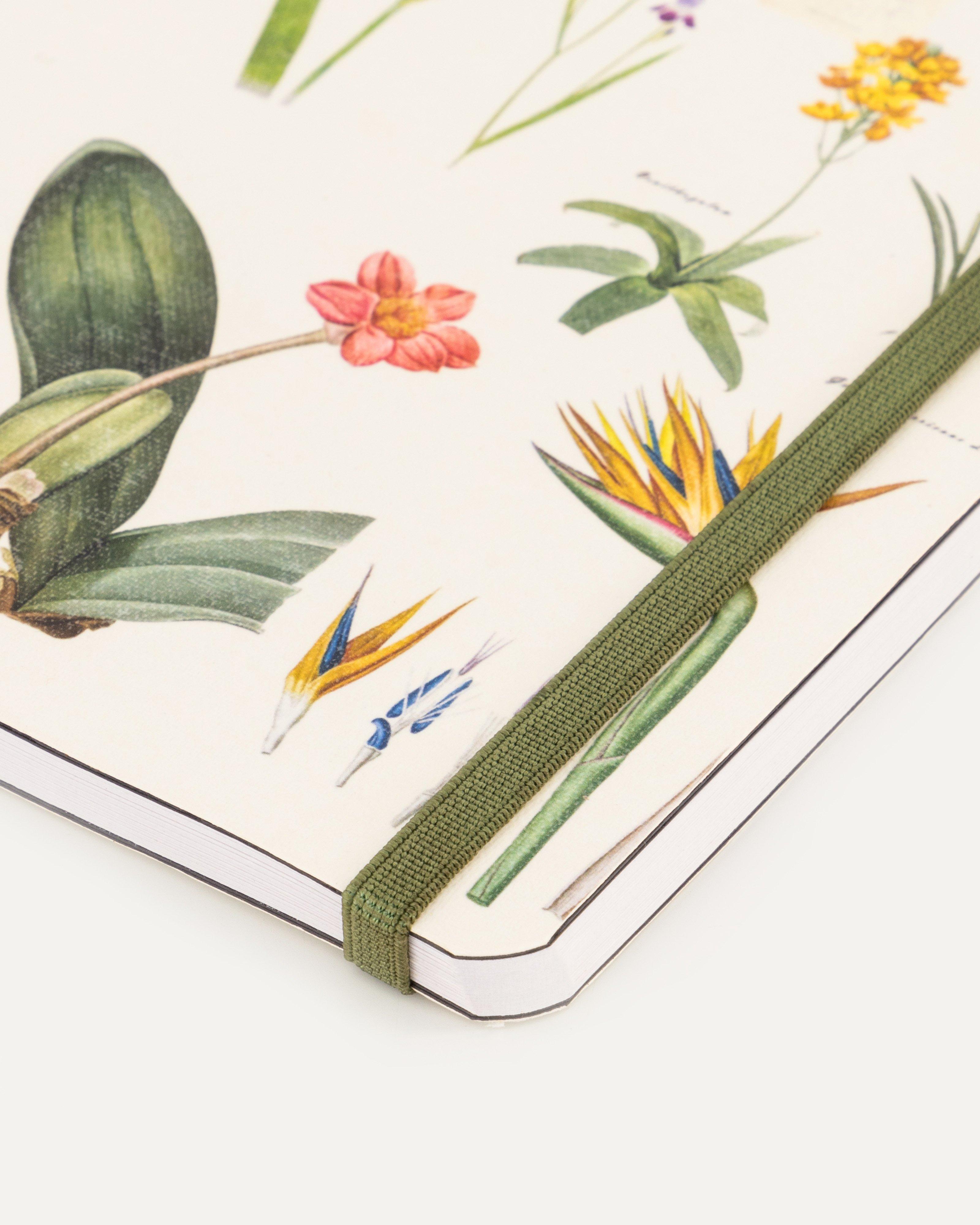 Botany Notebook -  assorted