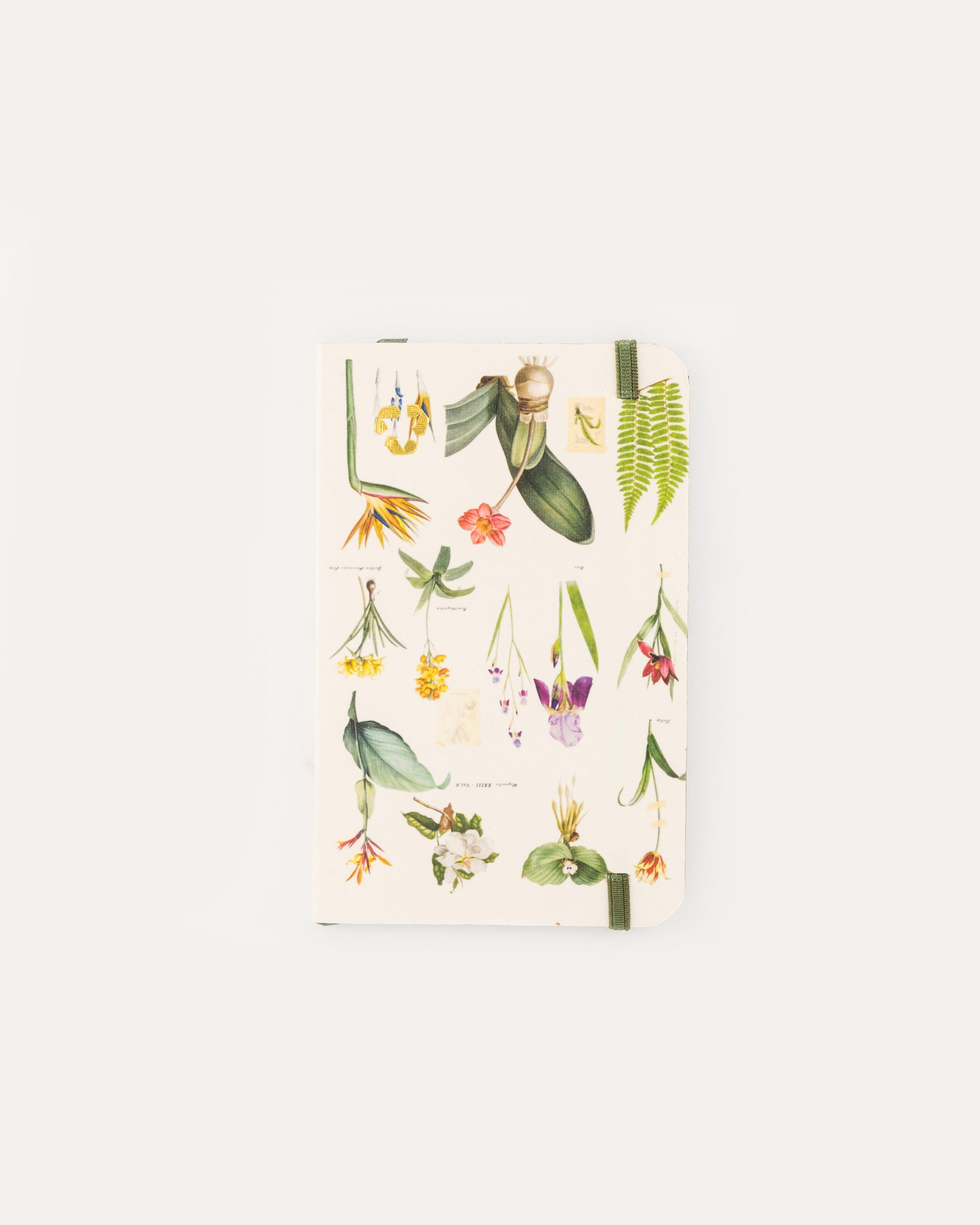 Botany Notebook -  assorted