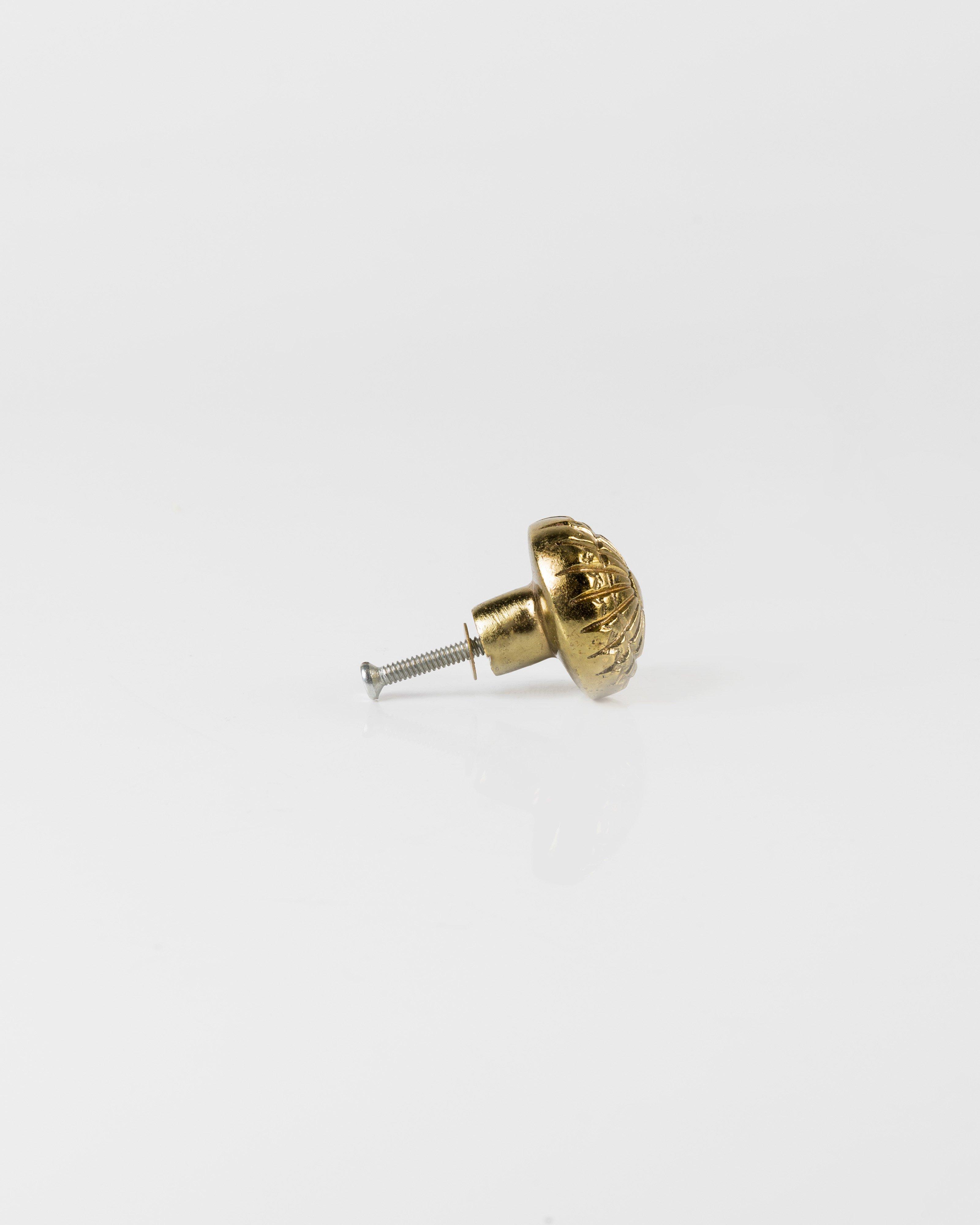 Detailed Gold Knob -  gold