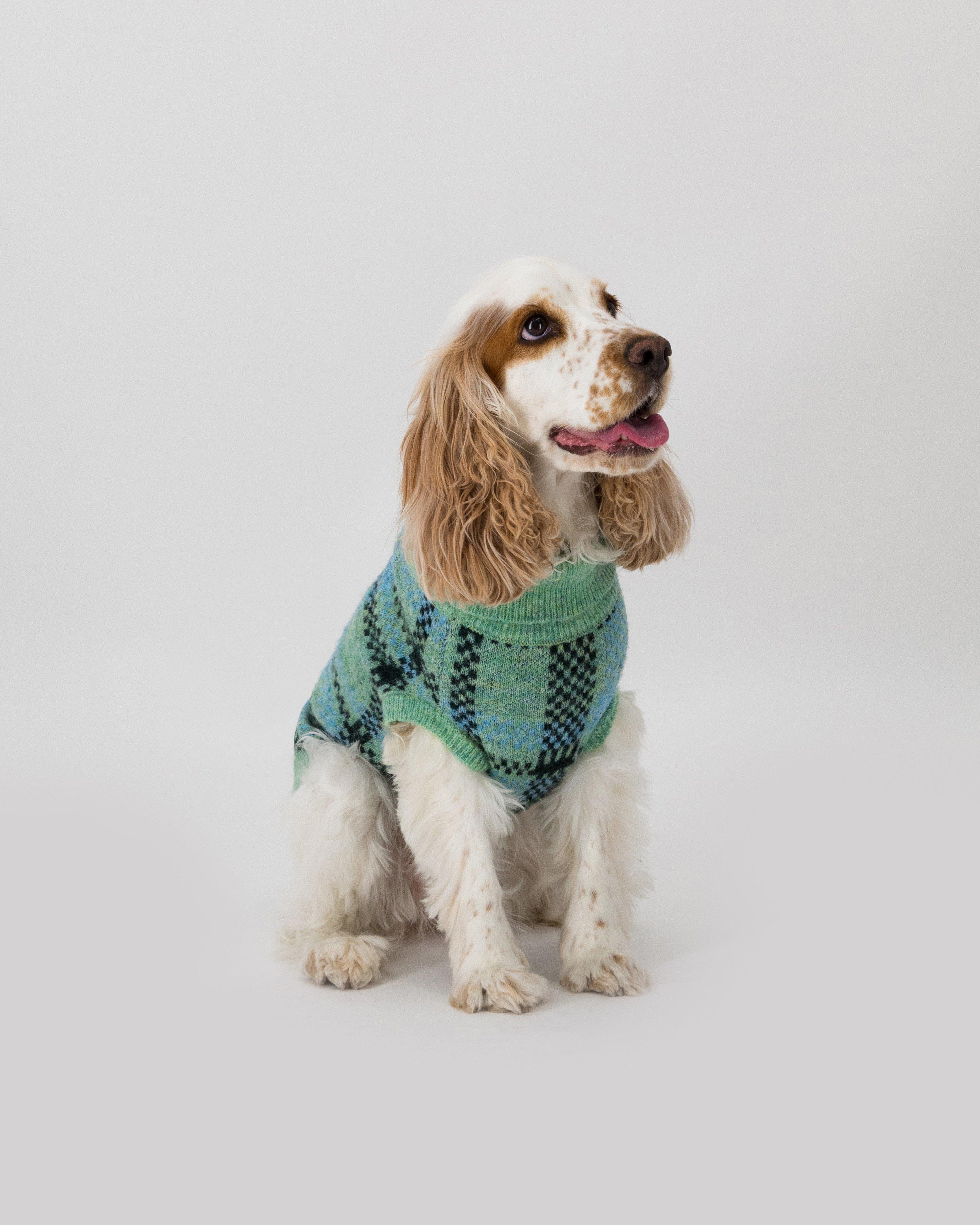 Ula Dog Jumper -  assorted