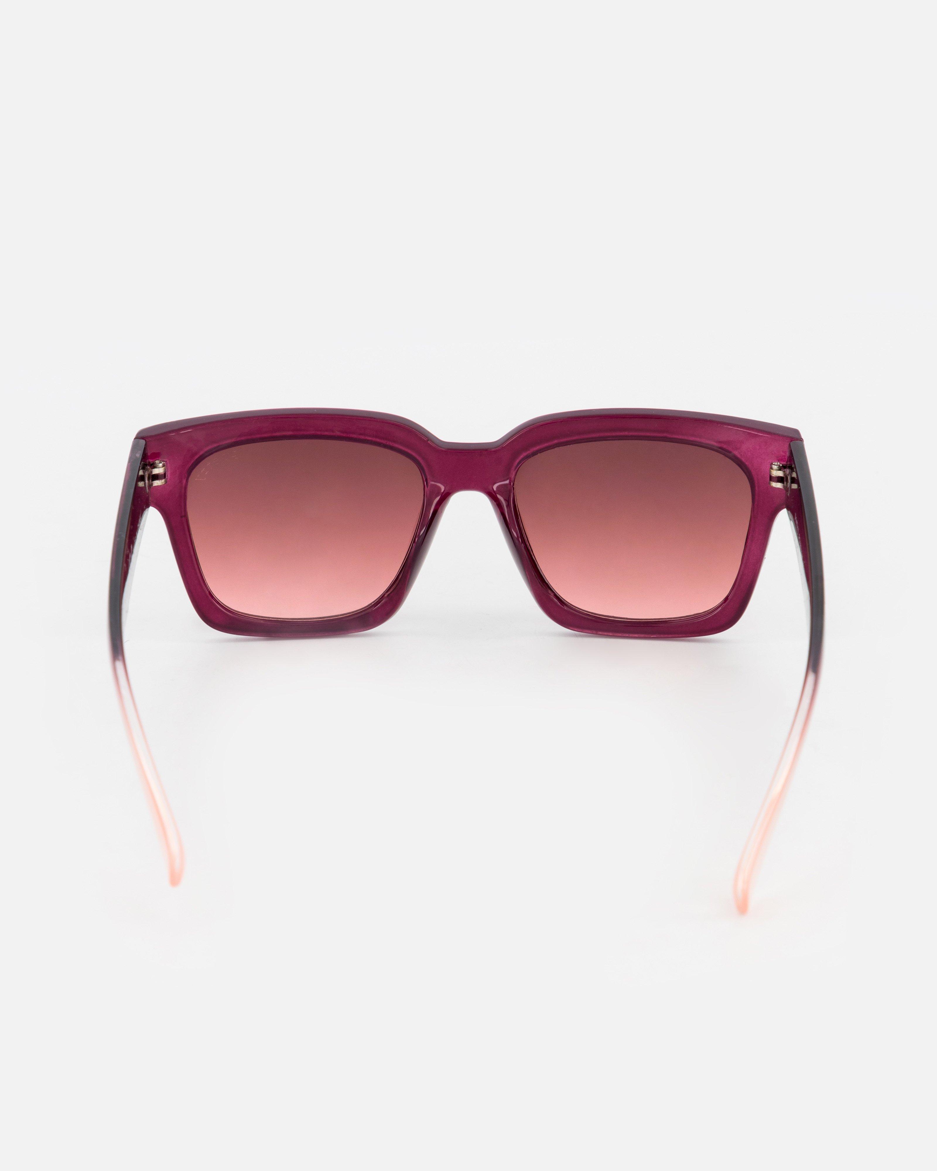 Polarised Large Square Sunglasses -  burgundy