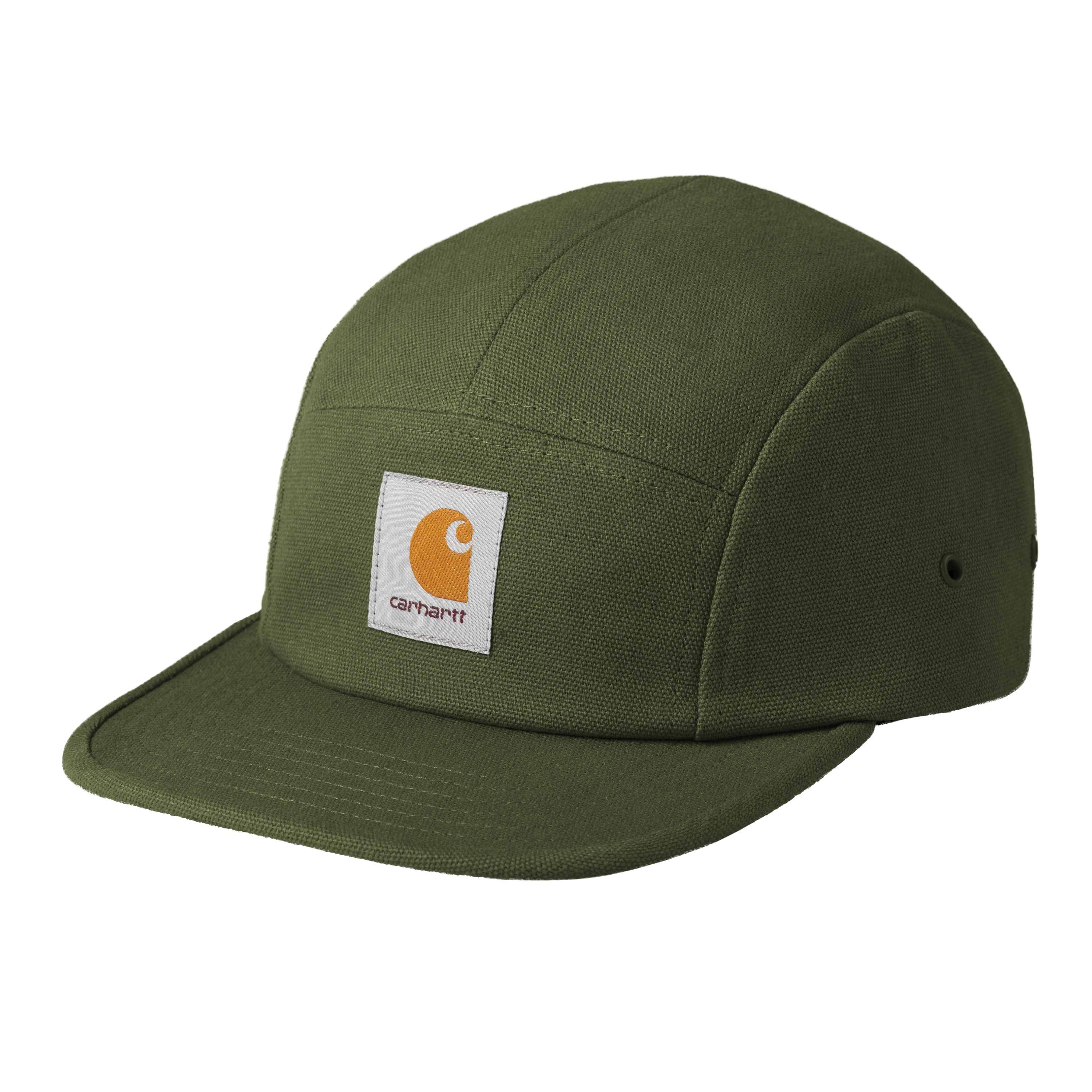 Carhartt WIP Backley Cap in Green