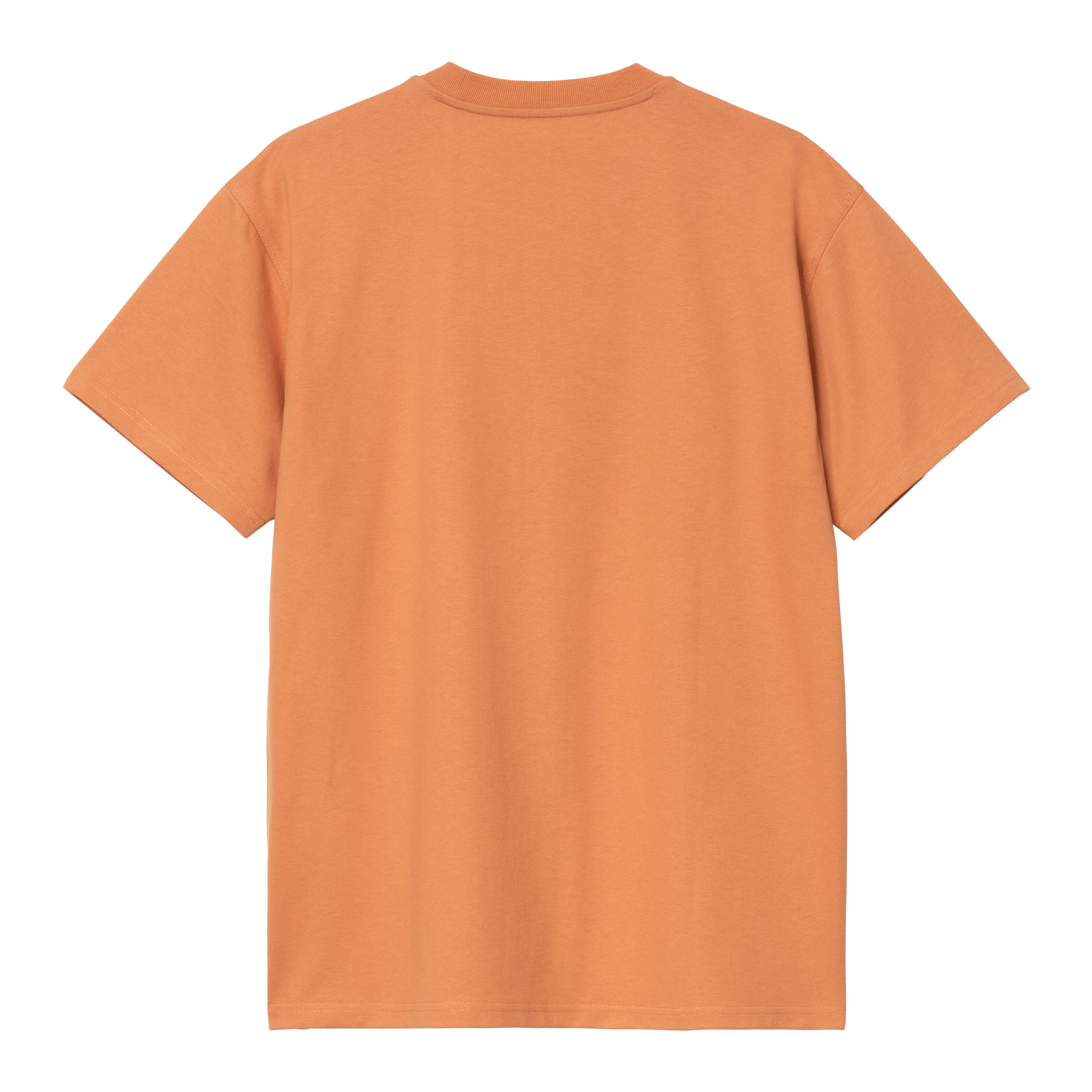 Carhartt WIP Short Sleeve American Script T-Shirt in Orange