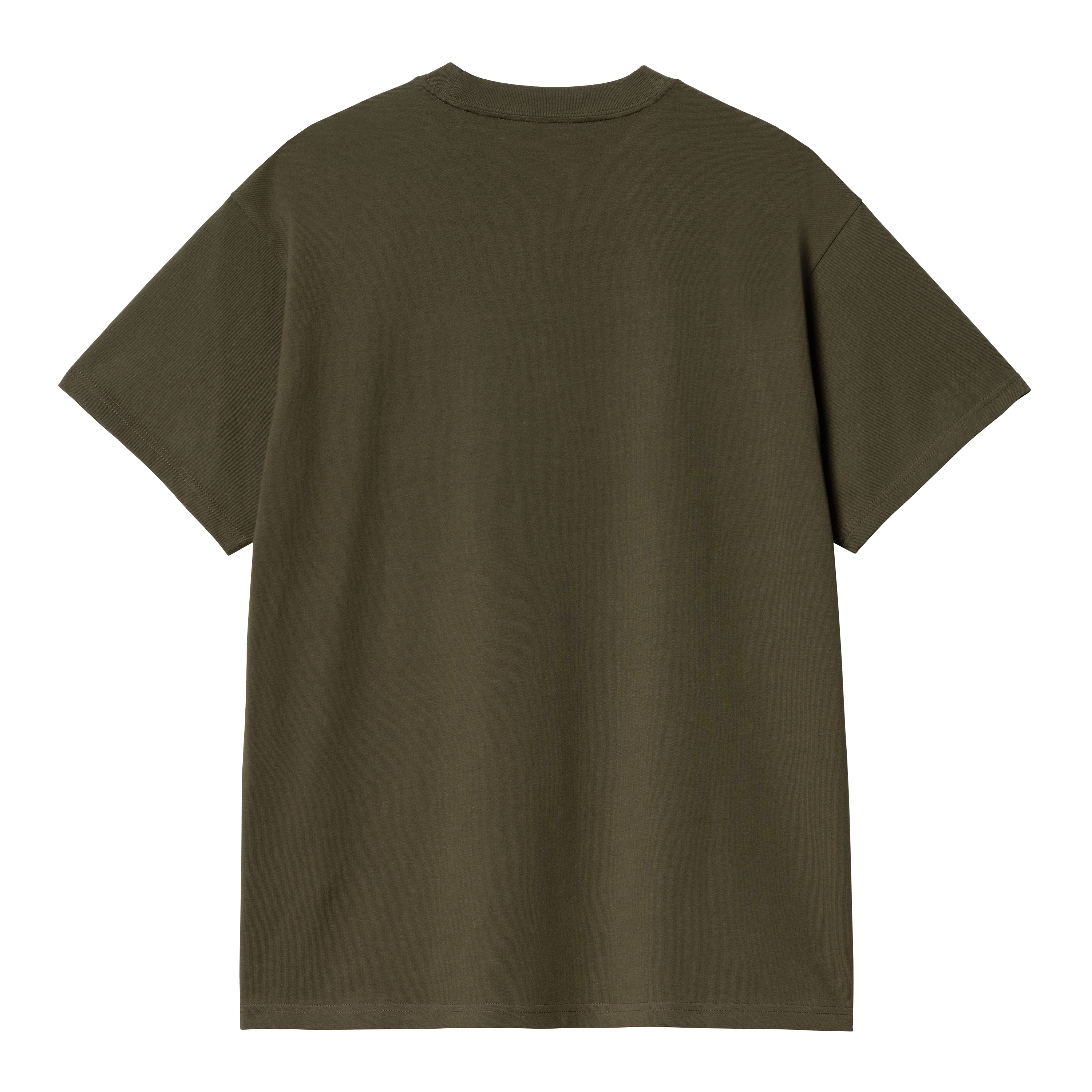 Carhartt WIP S/S Script Embroidery T-Shirt, Turtle / Air