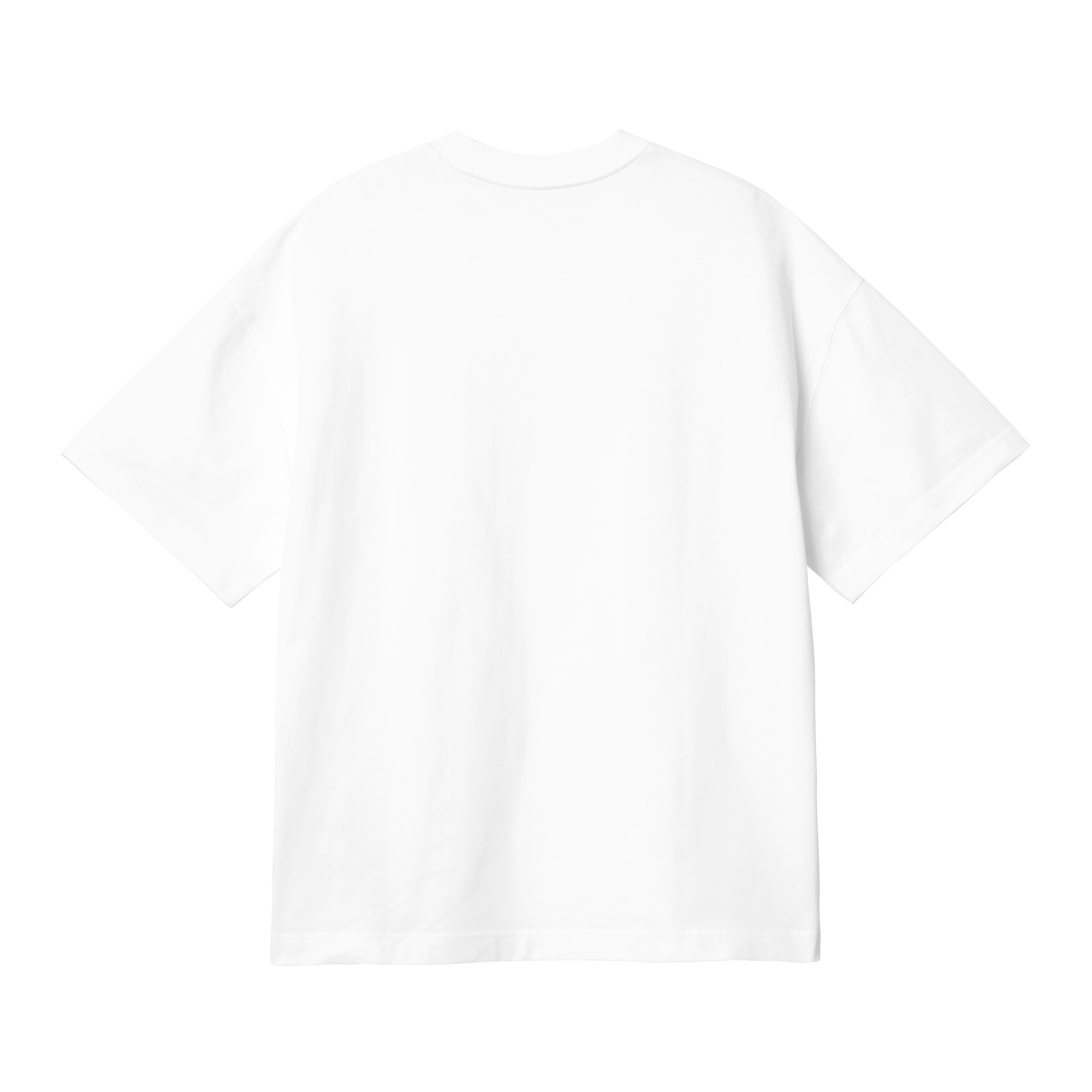 Carhartt WIP S/S Link Script T-Shirt, White / Black | Official