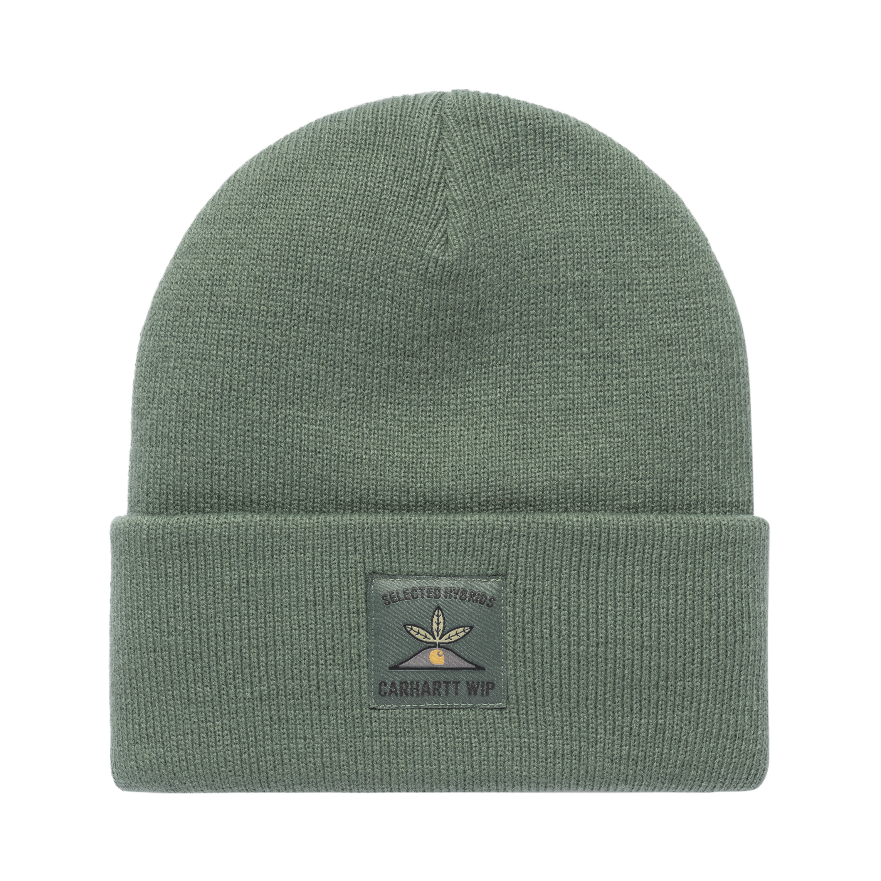 Carhartt WIP Field Beanie in Verde