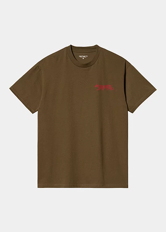 Carhartt WIP Short Sleeve Rocky T-Shirt in Marrone