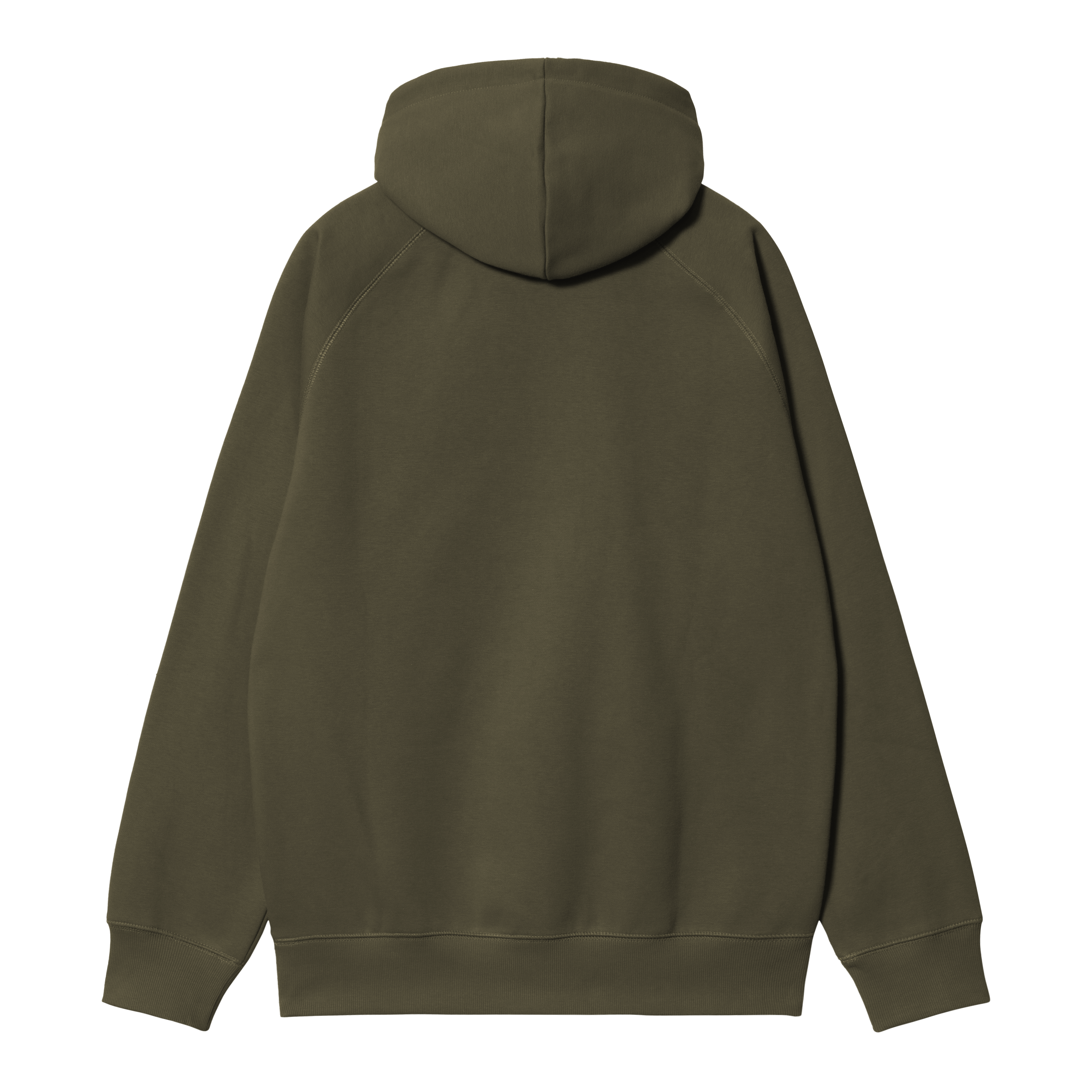 【送料&関税込】Carhartt Hooded Chase Sweat Sage Green Carhartt WIP Hooded Chase Sweatshirt, Frosted Green / Gold