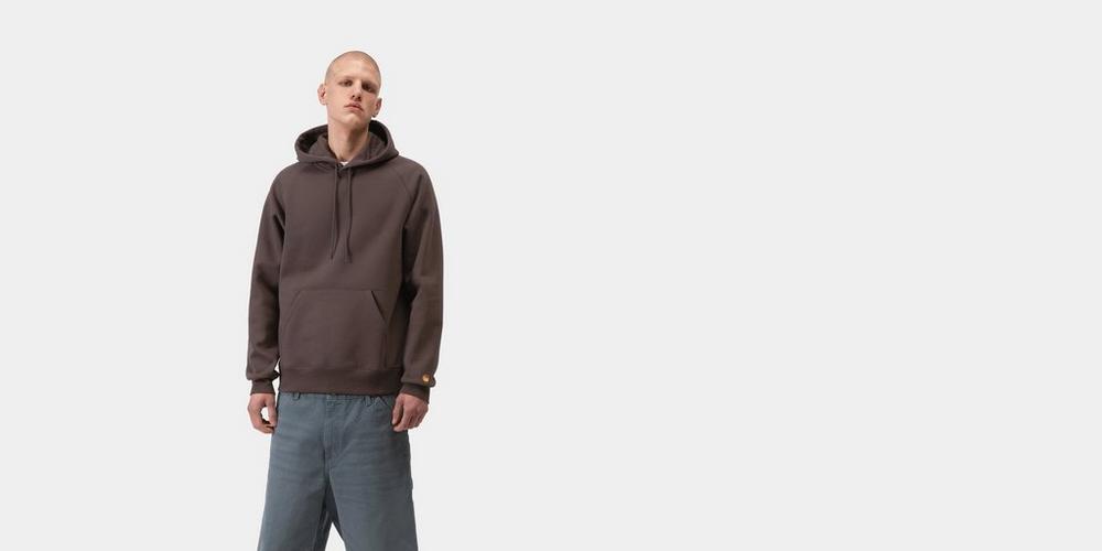 Carhartt WIP Hooded Chase Sweatshirt in shale, brushed poly-cotton with raglan sleeves and an embroidered C at the sleeve