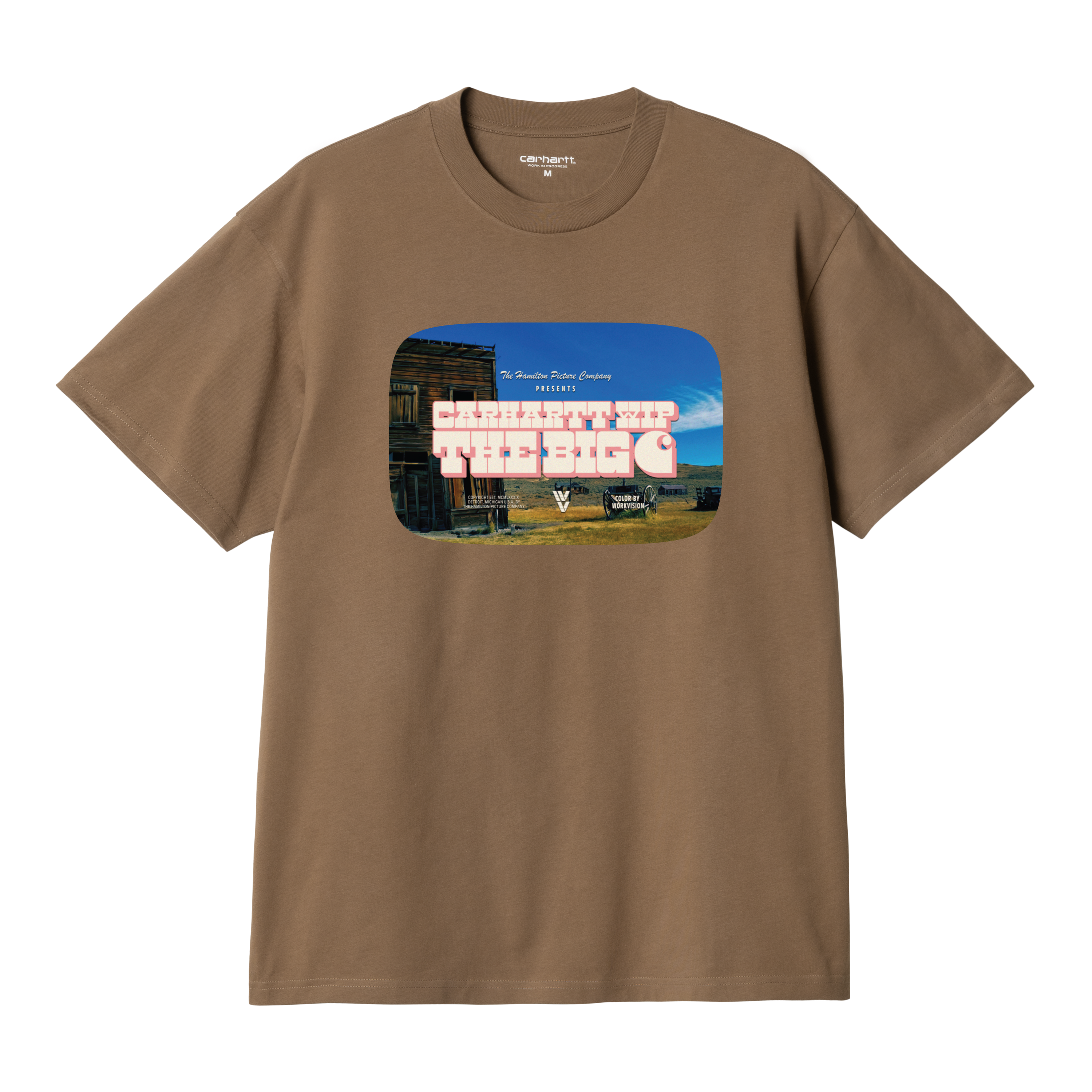 Carhartt WIP Short Sleeve Greatest Flicks T-Shirt in Brown