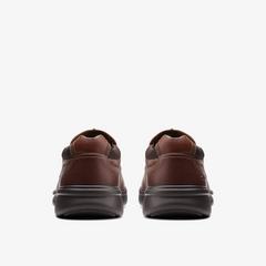 Bradley Free — Brown 5