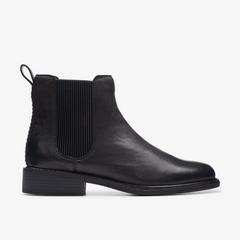 Cologne Arlo 2 — Black 1